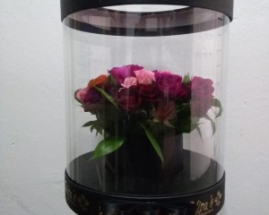 69-  cachepo de acetato preto com arranjo de mini rosas 